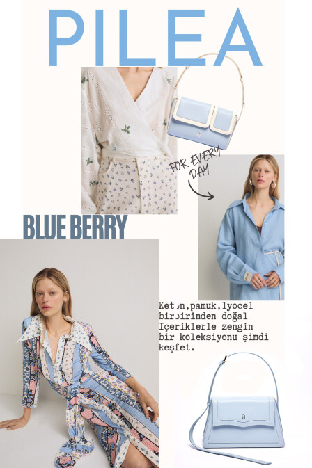 BlueBerry